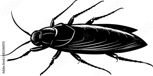 Dead American Cockroach Macro – Crystal Clear Insect Photography on White Background
