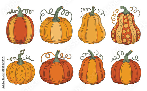 Collection of various decorative gourds and pumpkins in different shapes and colors