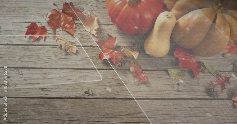 Fototapeta premium Showing 3 pumpkins and butternut resting on wood planks with leaves cones faint glare, copy space