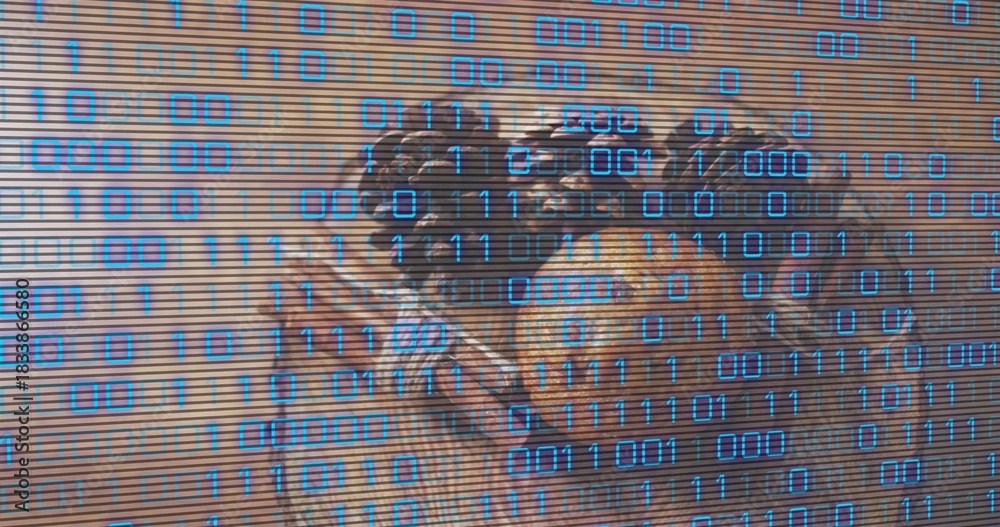 Fototapeta premium Perching pair of parrots showing warm brown plumage on wooden slatted wall, binary overlay