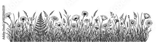 Vintage wildflower border with grass and daisies