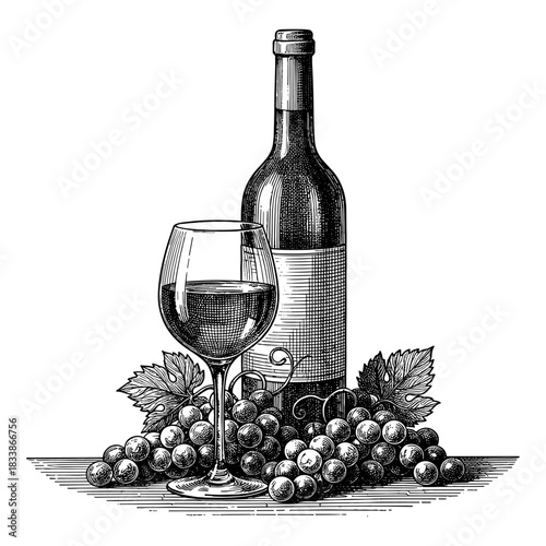 Vintage wine bottle, glass and grapes illustration
