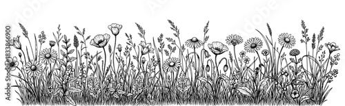 Vintage floral border with wildflowers and grass