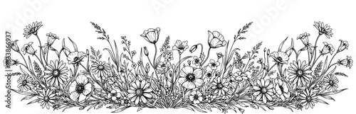 Vintage floral border with wildflowers and grass