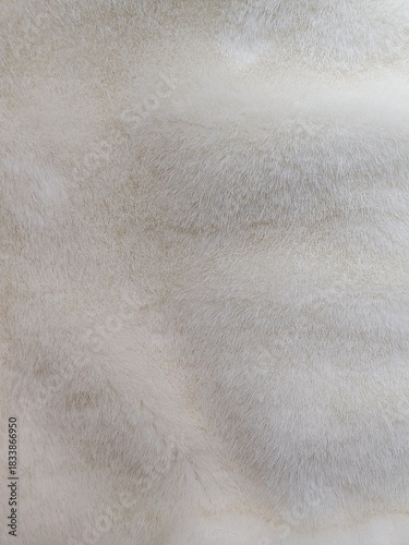 White Fur Fabric Background Photo