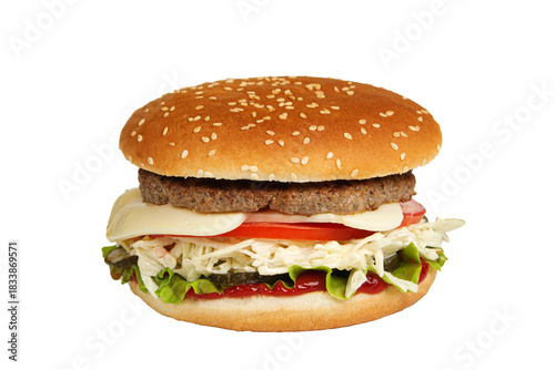 Burger isolated on a white background. Fast and tasty food.