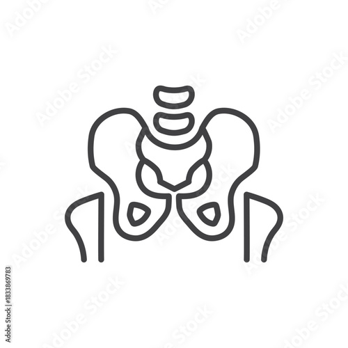 Pelvic Bone Line Icon in Editable Outline Style for Human Hip Anatomy, Medical, and Orthopedic Designs