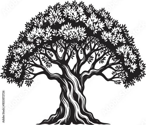 Vector illustration of olive tree silhouette isolated on transparent background