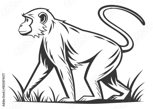 Stylized line art monkey walking through grass