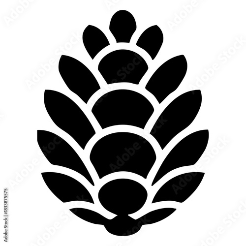 vector pine cone icon, nature winter element