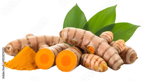 Fresh turmeric roots and leaves isolated on transparent background