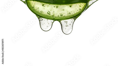 Aloe vera slice with dripping gel isolated on transparent background