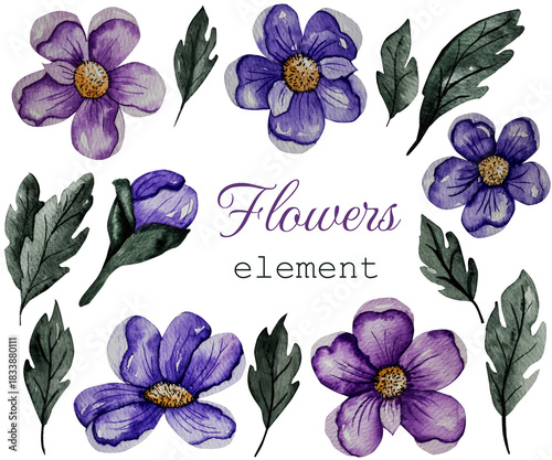 Hand-painted watercolor set of elegant purple flowers and green leaves. Botanical elements ideal for invitations, branding, stationery and decorative design projects.
