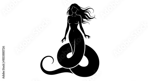 Silhouette Mermaid With Flowing Hair Standing on Tail.jpg