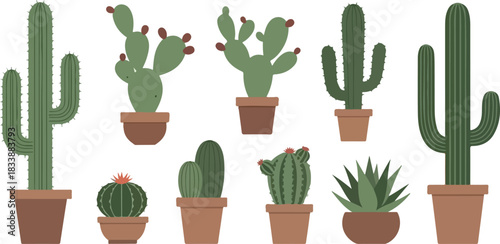 A charming collection of various potted cactus and succulent plants. Flat vector illustration set isolated on a white background