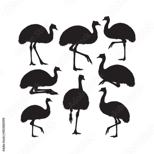 Emu Silhouettes Collection, Emu Silhouette, Bird Vector, Wildlife Illustration