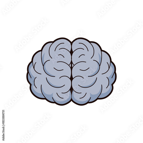 Brain Illustration for Cognitive Function and Intelligence Concepts