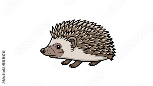 Illustration of a cute hedgehog with spines on white background