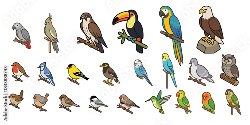 Tropical and Woodland Birds Clipart Set – Parrot, Toucan, Eagle, Falcon, Owls, Finches, Robins, Hummingbird Cute Vector Illustrations