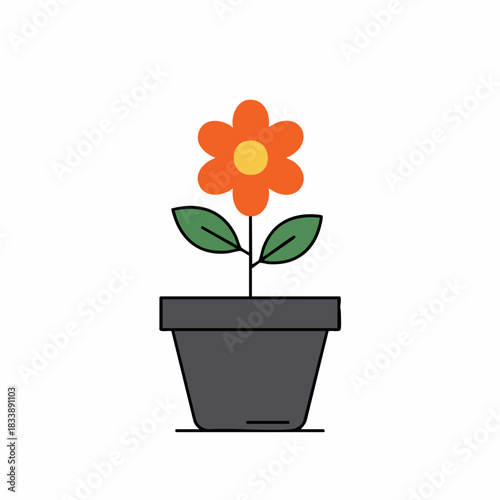 Simple Orange Flower Blooming in a Dark Gray Pot.