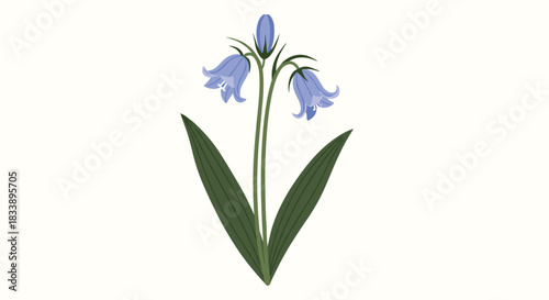 Simple and elegant illustration of a single stem of blooming bluebell flowers with long green leaves on a light background.