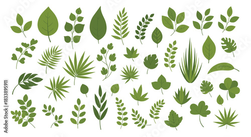 A diverse collection of various green leaves, featuring many different types and styles of botanical foliage on a white background.