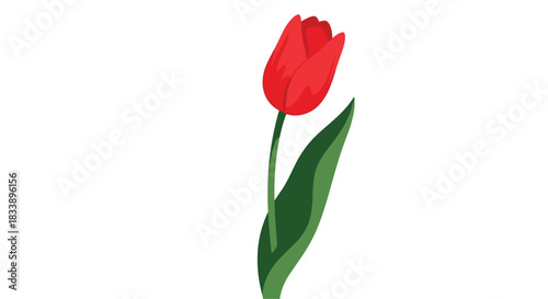 Simple and elegant flat vector illustration of a single beautiful red tulip flower with a green stem and leaf on a white background.