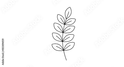 Minimalist black outline of a simple botanical branch with multiple leaves, a hand-drawn doodle style illustration on white.