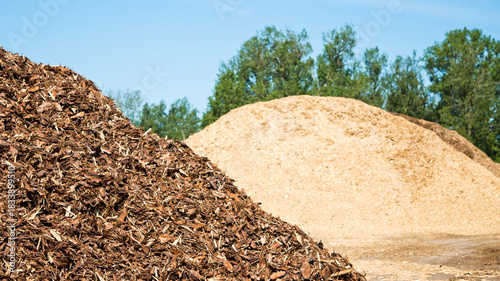 Quadro em tela mountains of wood chips against a backdrop of blue sky and green trees