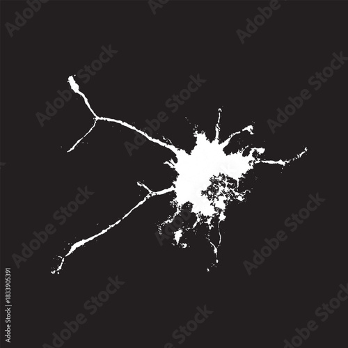 Hand drawn stylized grunge bird droppings set black and white. Flat blot style vector illustration. (Can be used as texture for cards, invitations, DIY, web sites)