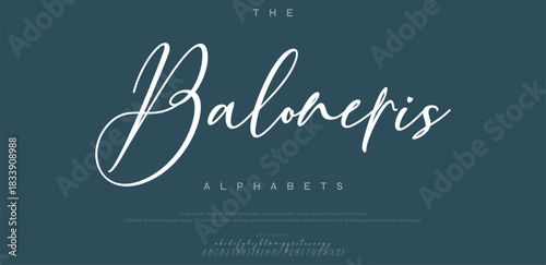 Modern elegant serif font with artistic strokes, perfect for fashion, branding, and editorial design