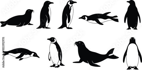 Silhouette antarctic animals collection, penguins and seals, vector wildlife illustration, marine creatures icons, swimming penguins, standing penguins, arctic nature graphic design set