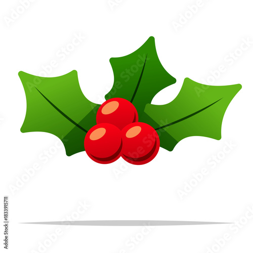 Christmas holly berry leaves vector isolated illustration