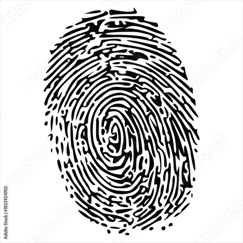 Black and White Fingerprint Illustration – Biometric Identity and Forensic Detail