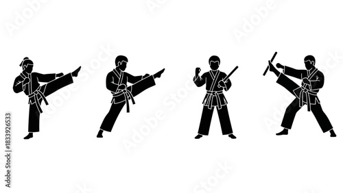 Illustrations showcasing diverse martial arts techniques and poses, featuring practitioners in