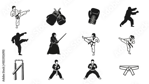 Monochrome martial arts icons depicting karate, kendo, taekwondo and combat sports