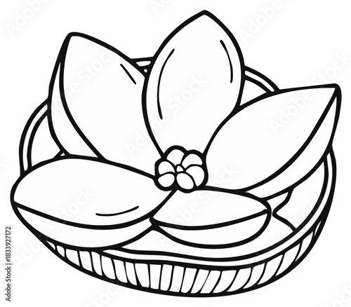 Elegant flower drawing in bowl with detailed petals and centre for artistic or decorative use in design projects