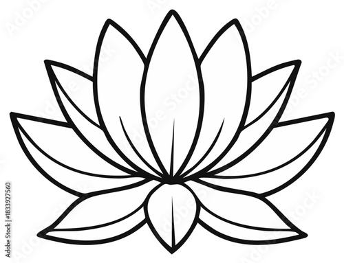 Lotus flower illustration, simple outline drawing of a blooming water lily