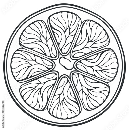 Black and white line art illustration of a citrus fruit slice with decorative patterned segments