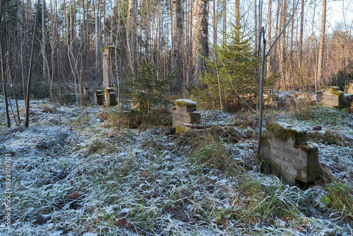 Naklejka German WWI Military Cemetery Dishupi in Winter Forest, Latvia