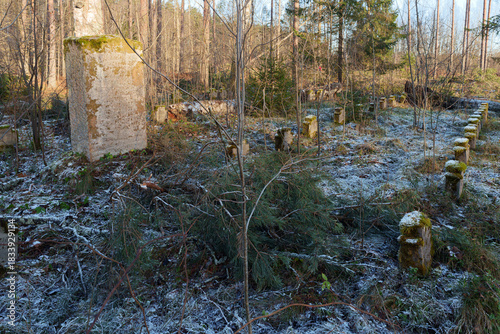 Naklejka German WWI Military Cemetery Dishupi in Winter Forest, Latvia