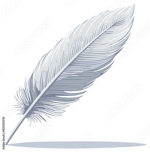 Elegant White Feather Illustration, Light Delicate Plume, Isolated Single Bird Feather, Graceful Design Element