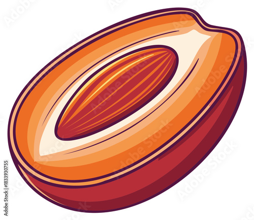 Stylized date fruit half with its pit showing colorful vector illustration