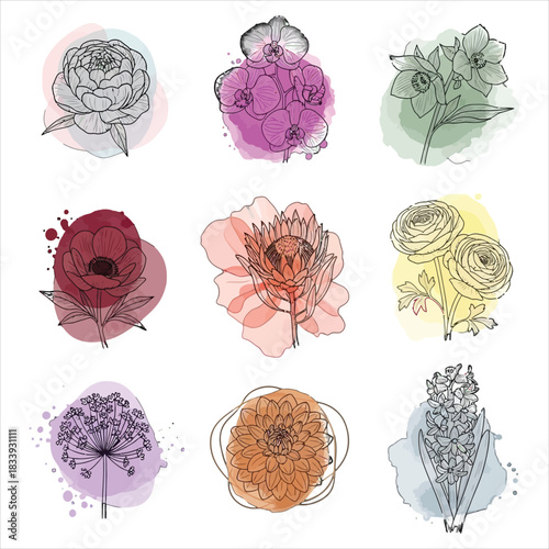 Watercolor sketch collection of nine flower line art