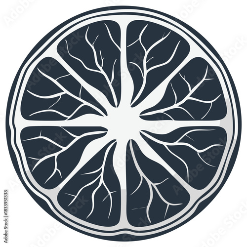 Abstract stylized citrus fruit slice illustration with internal segment patterns