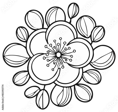 Stylized Blossom Illustration with Petals and Stamens for Coloring or Decoration