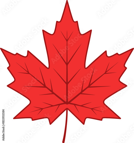 Vivid red maple leaf with detailed vein patterns on a transparent background showcasing autumnal botanical artistry