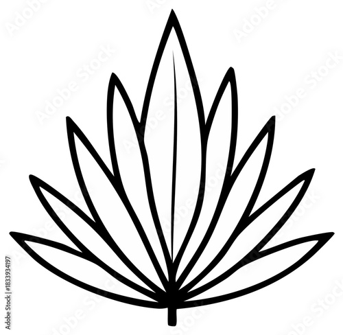 Hand Drawn Botanical Illustration Outlined Leafy Branch with Pointed Leaves