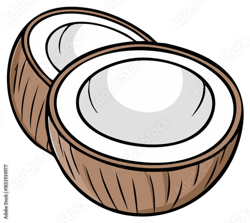 Illustration of a halved coconut revealing its white flesh and textured brown shell