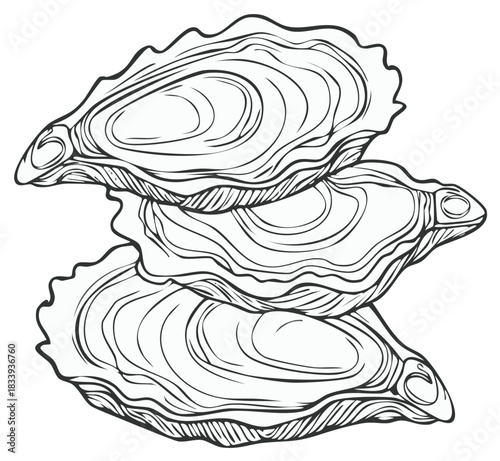 Elegant black and white drawing of three fresh oyster shells stacked seafood delicacy graphic